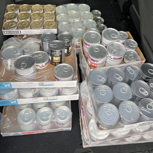 490298787_1083668927130497_2398972102439538109_n