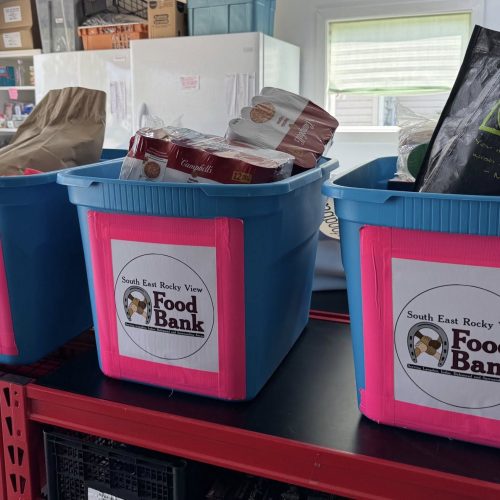 504381795_1169498561880866_4507568511907800583_n