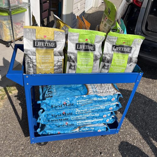 545246958_1194512242712831_3417148678219222717_n